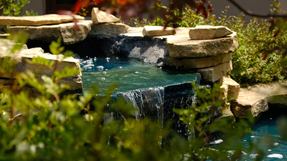 Tailoring Your Backyard Paradise
