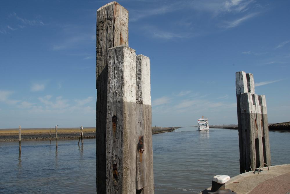 Why IOP Virginia Matters