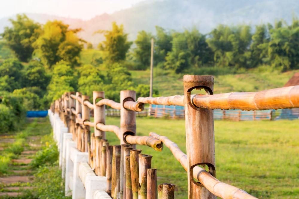 Factors Impacting Fence for Backyard Cost