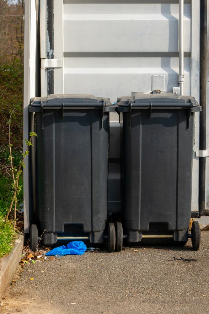 Challenges of Large Dumpster Rental