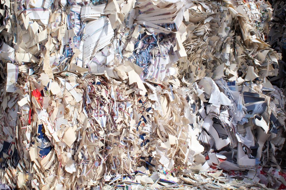 Why Choose Us for Your Shredding Needs