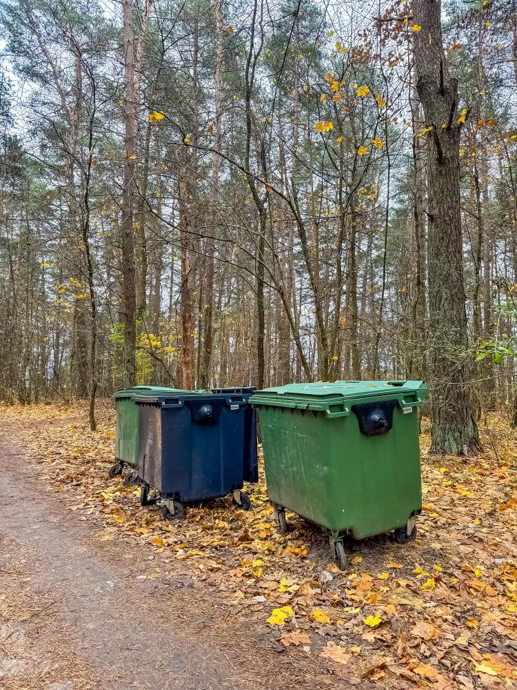 How to Choose the Right Dumpster for Your Needs