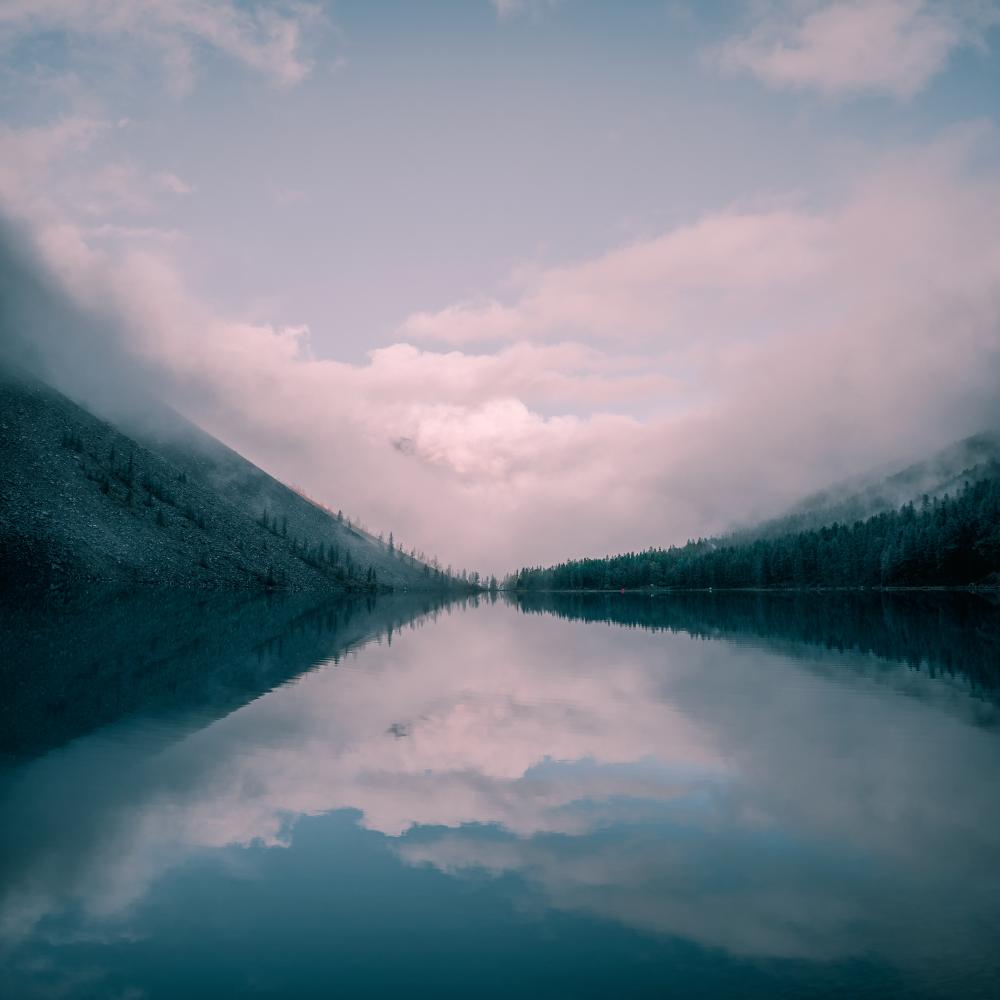 Role of Photo Prints in Professional Settings