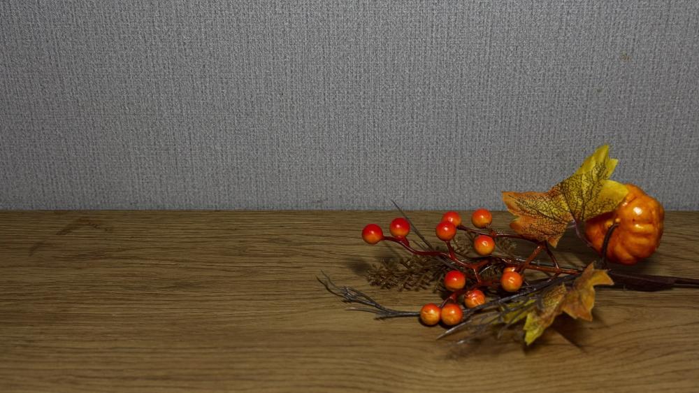 Modern Designs and Trends