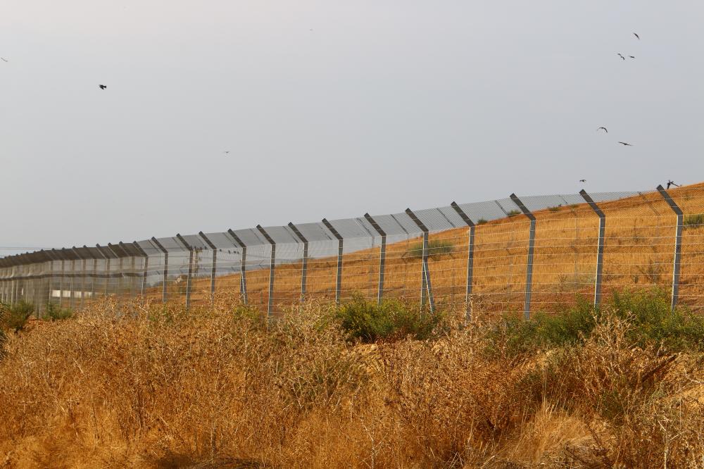 An In-depth Look at the Border Crisis