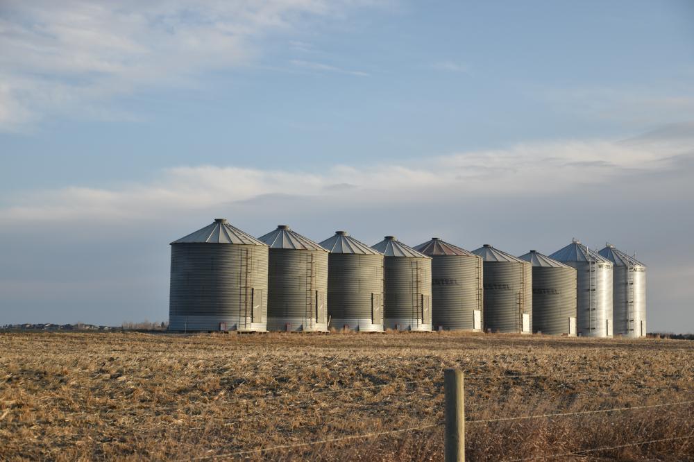 Benefits of High-Quality Dairy Buildings