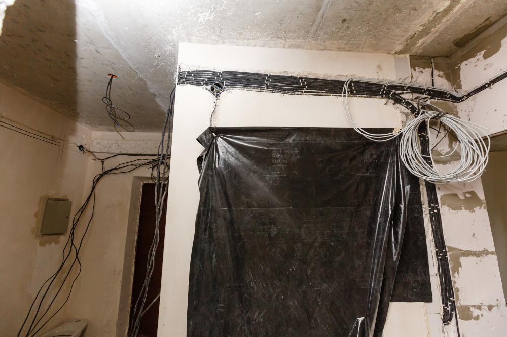Why Choose Ecologic for Mold Removal Mississauga?
