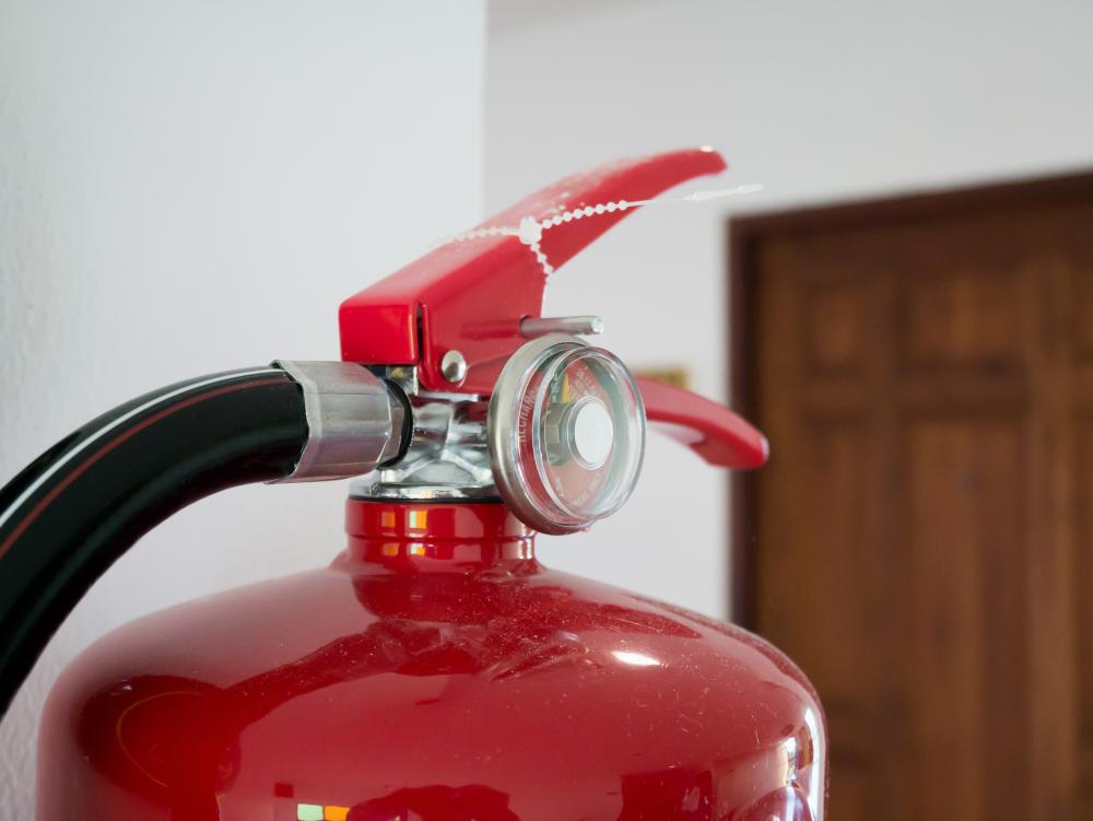 What Does a Professional Inspection Involve?