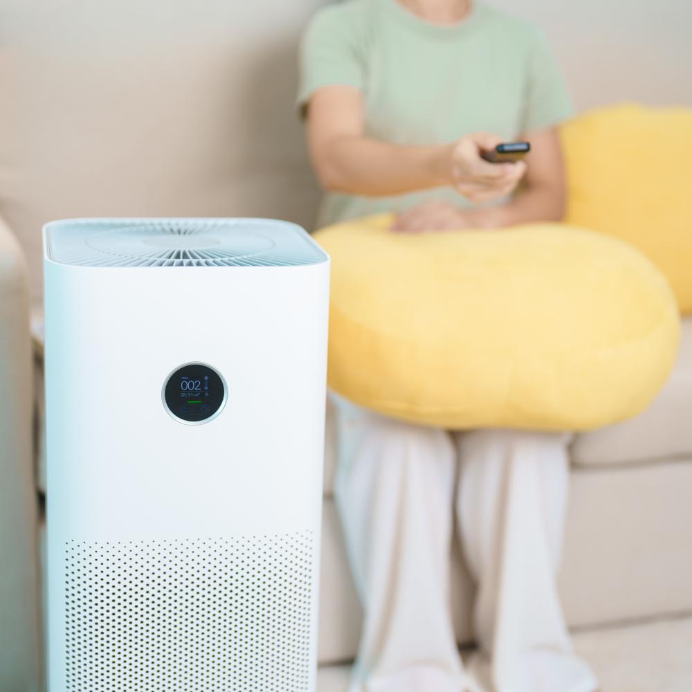 Choosing the Right Air Purification System