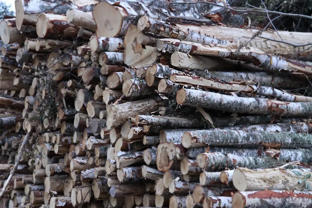 Unique Aspects of Compressed Firewood Maine