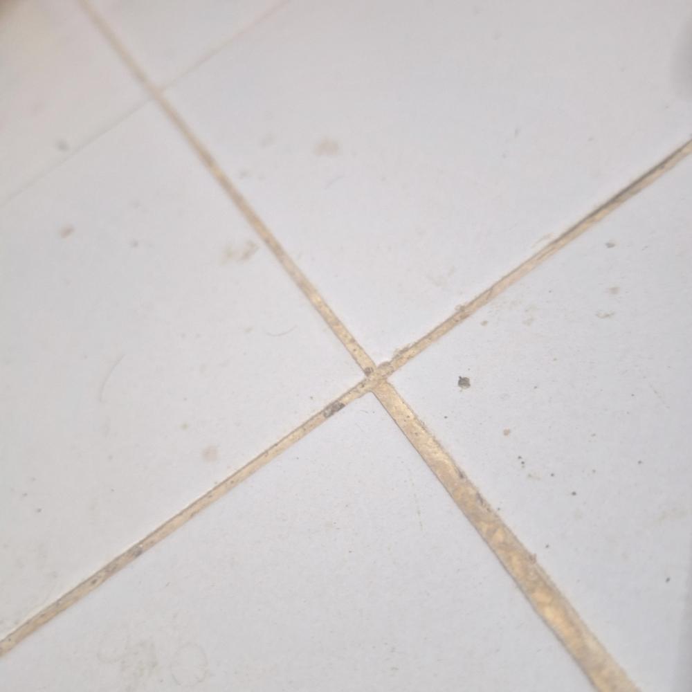 Innovative Solutions for Concrete Leaks