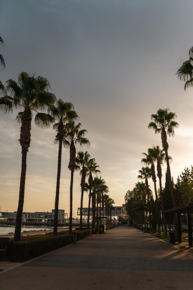 Common Issues and Effective Solutions