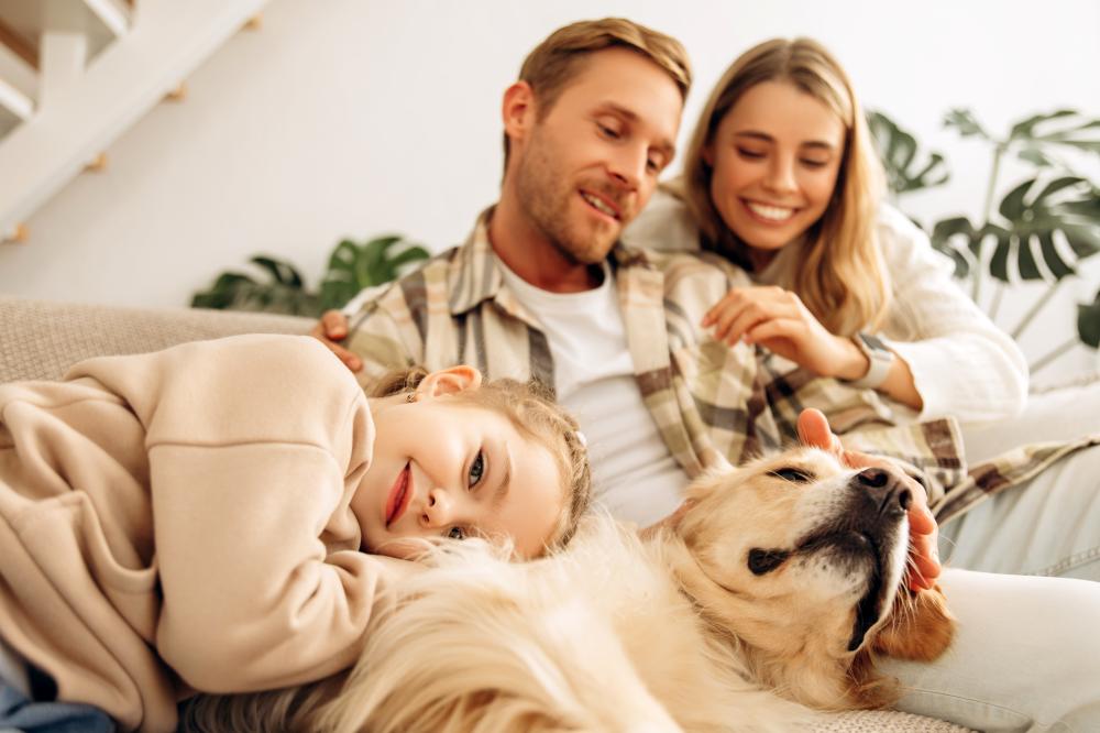 Common Furnace Issues and Their Causes