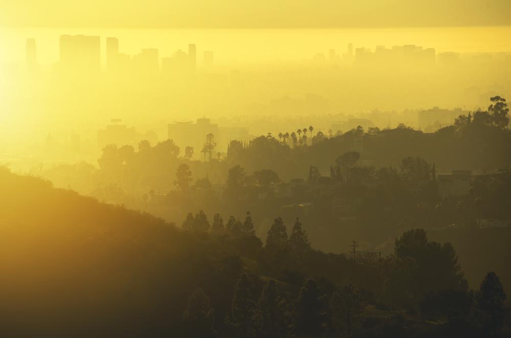Choosing the Right Service Provider in Los Angeles