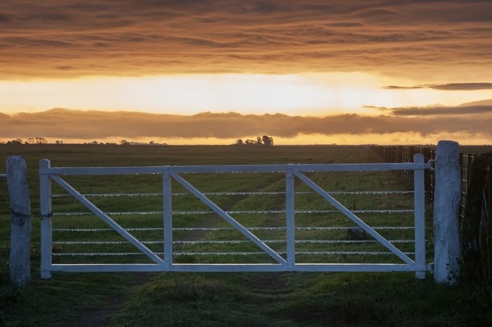 Our Unique Services Compared to Aurora Fence Company