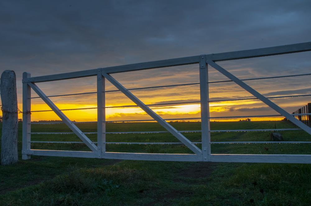 Commercial Fencing Excellence