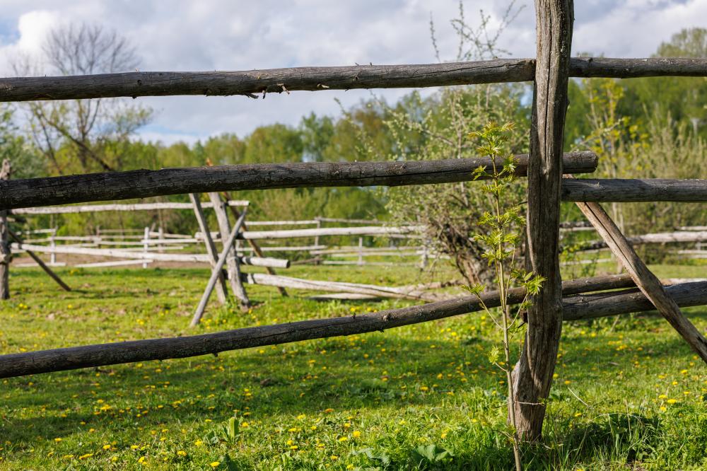 The Significance of Customized Fencing Solutions