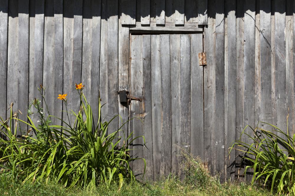 Expert Tips for Maintaining Your Wood Fence