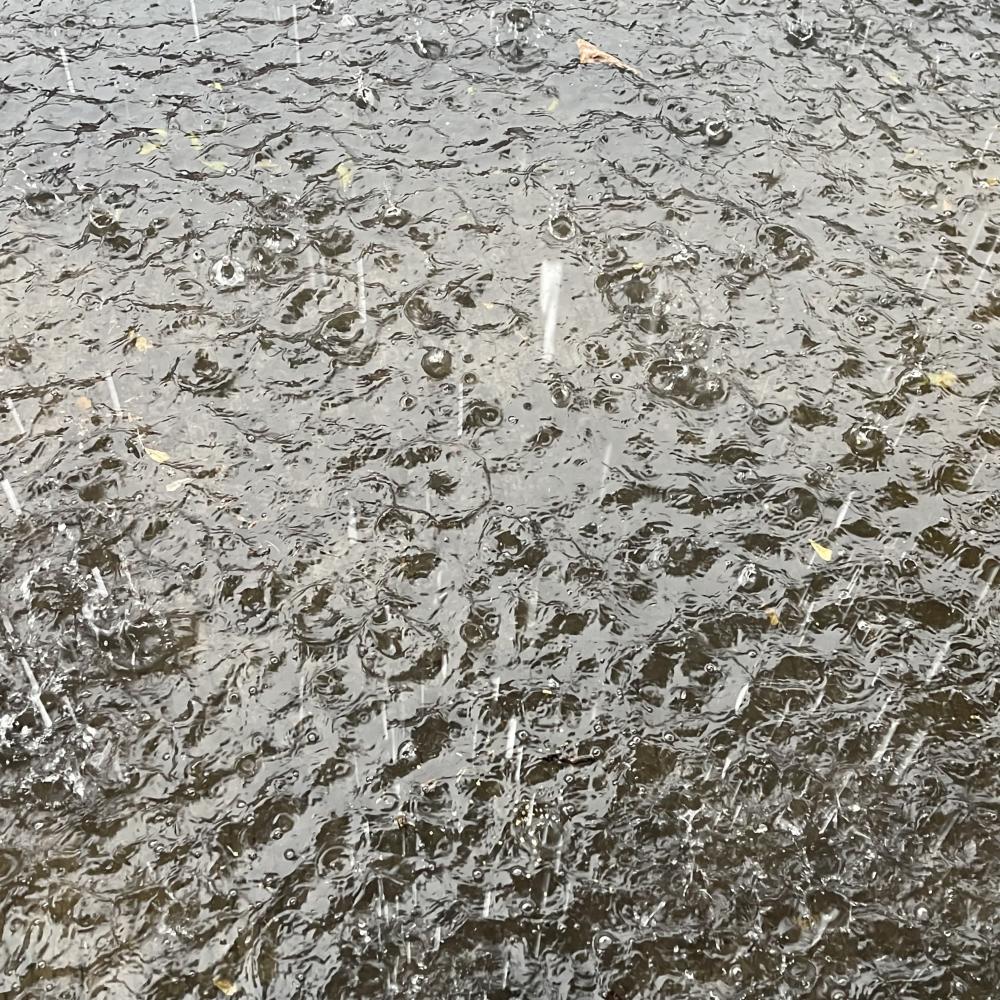 Trusted Methods of Concrete Leak Repair