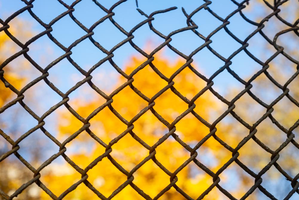 Choosing the Right Fence for Your Denver Property