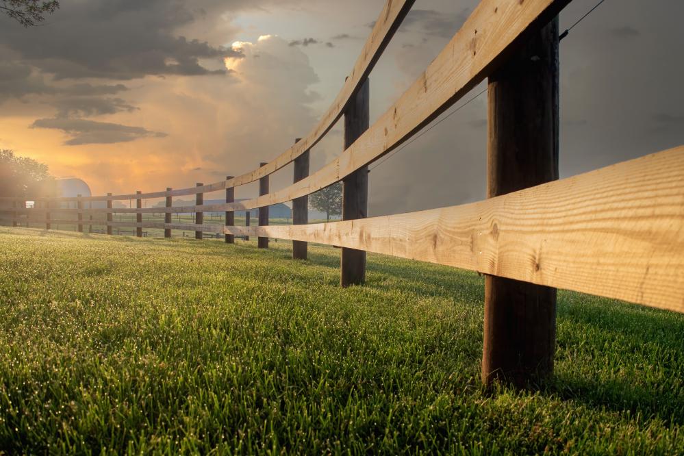 Commercial Fencing Expertise