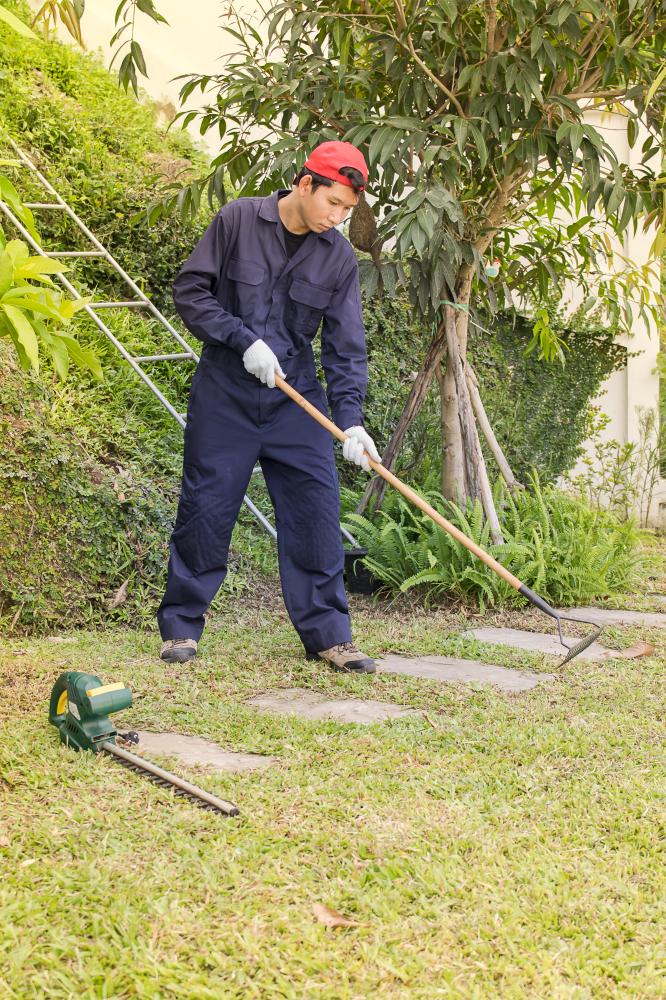 Services That Transform Your Yard
