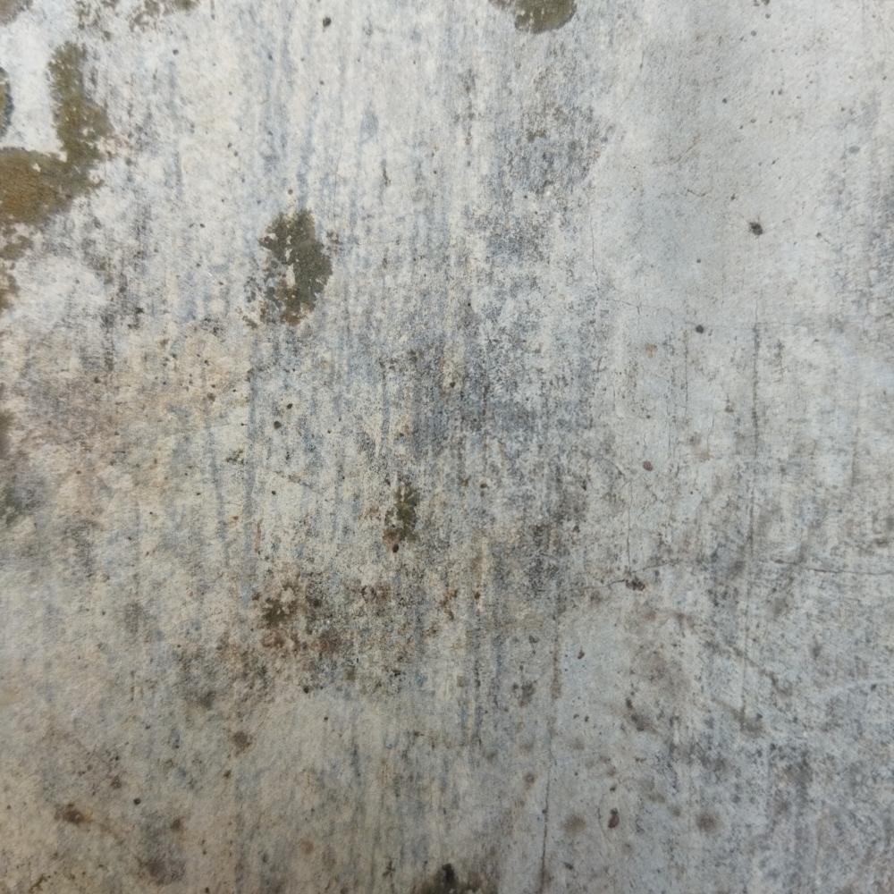 What Is the Process for Mold Removal Stamford CT?