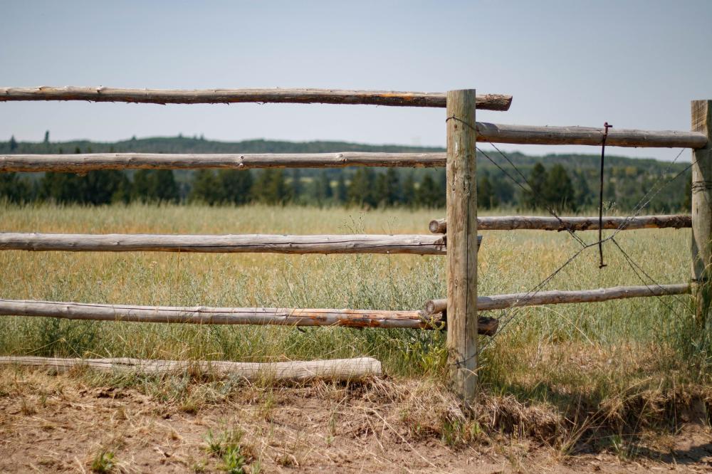 Diverse Range of Fencing Solutions