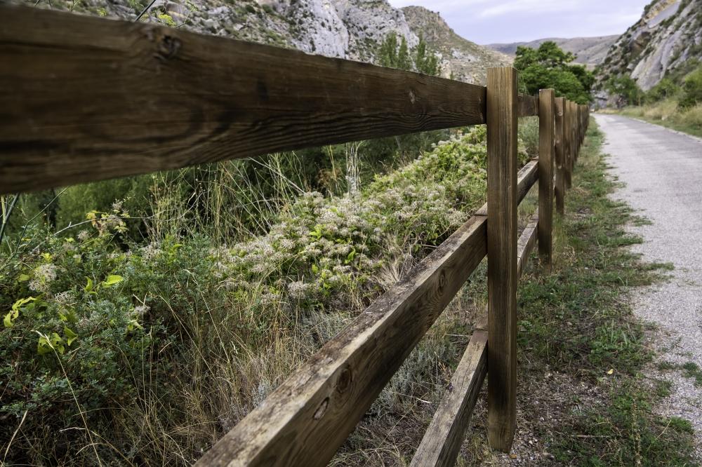 Common Denver Fence Repair Needs