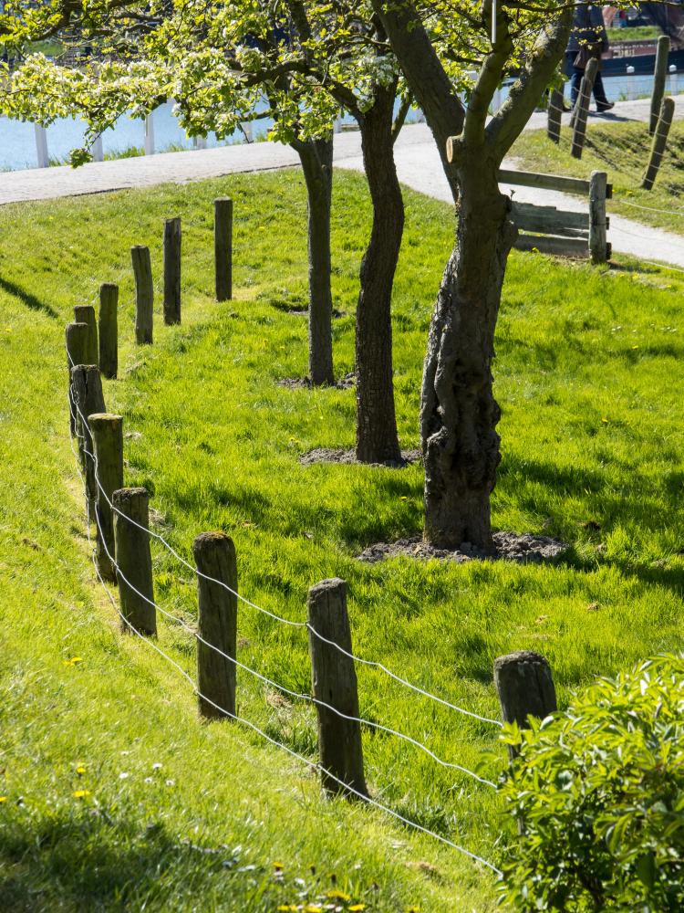 The Impact of Custom Fencing