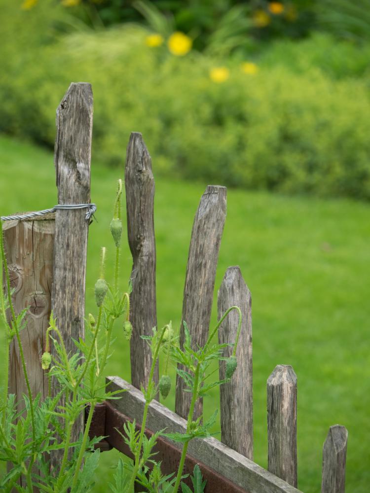 Hidden Costs and Financing Options