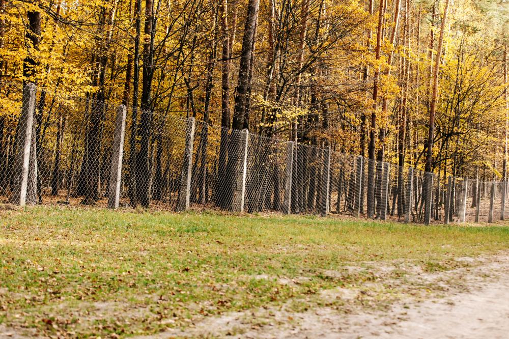 Enhancing Homes with Residential Fencing