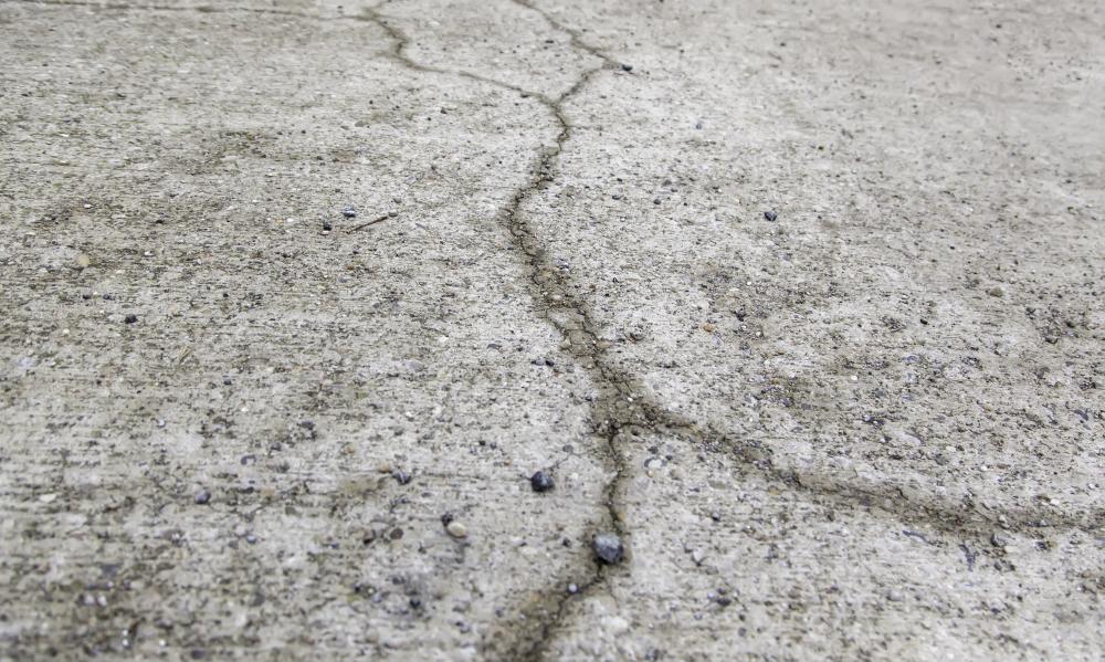 Diverse Applications in Vancouver