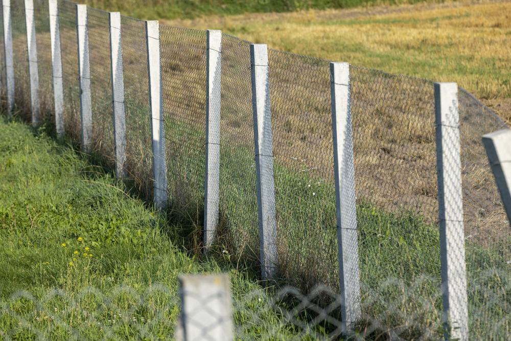 Popular Fencing Options in Ottawa