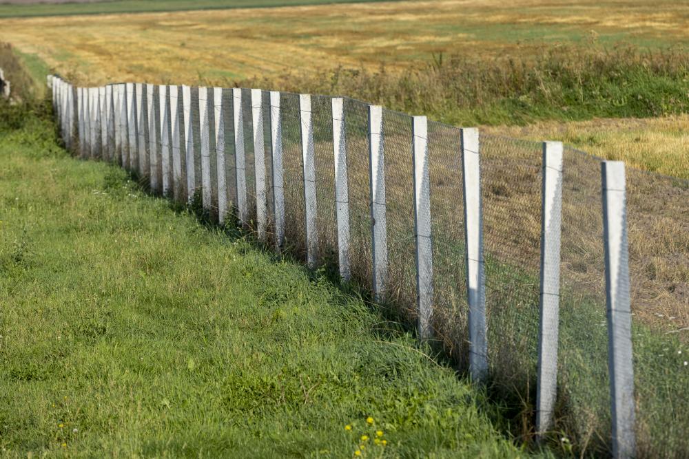 Personalized Fence Design