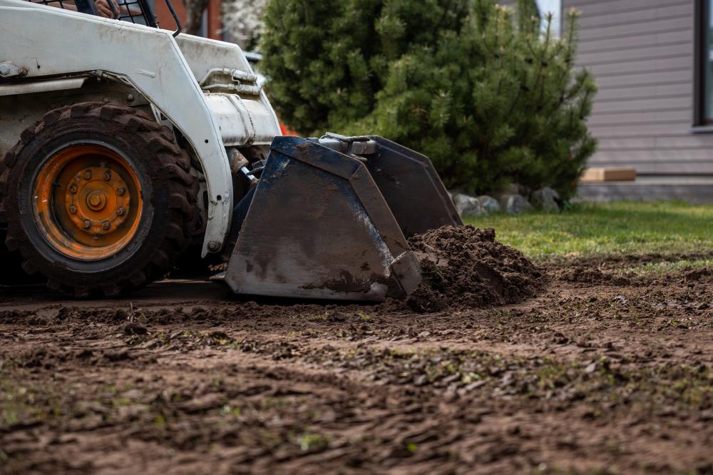 Year-Round Landscape Maintenance