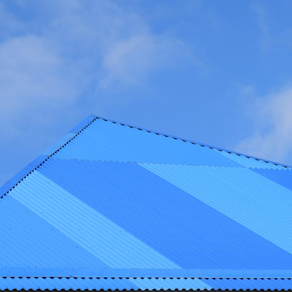 Inside the Process of Roof Cleaning Sugar Land TX