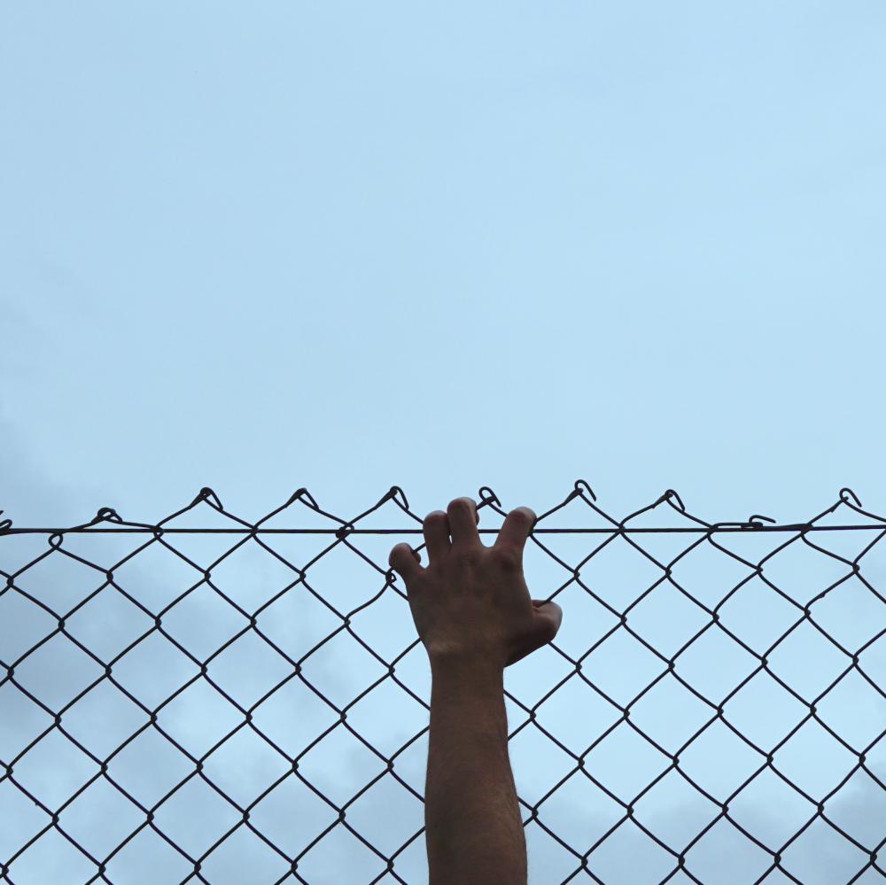 How Can We Address the Drug Influx at the Border?
