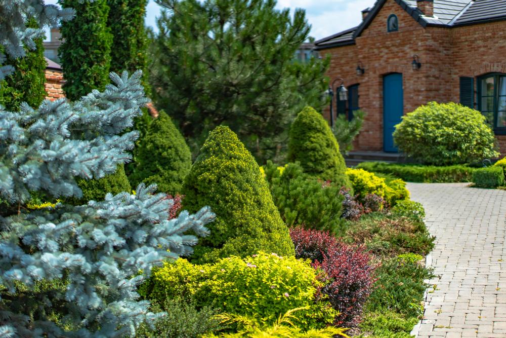 Our Diverse Landscaping Services