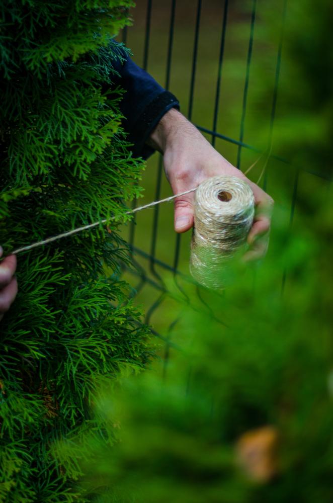 What Fencing Solutions Does Aurora Fence Company Provide?