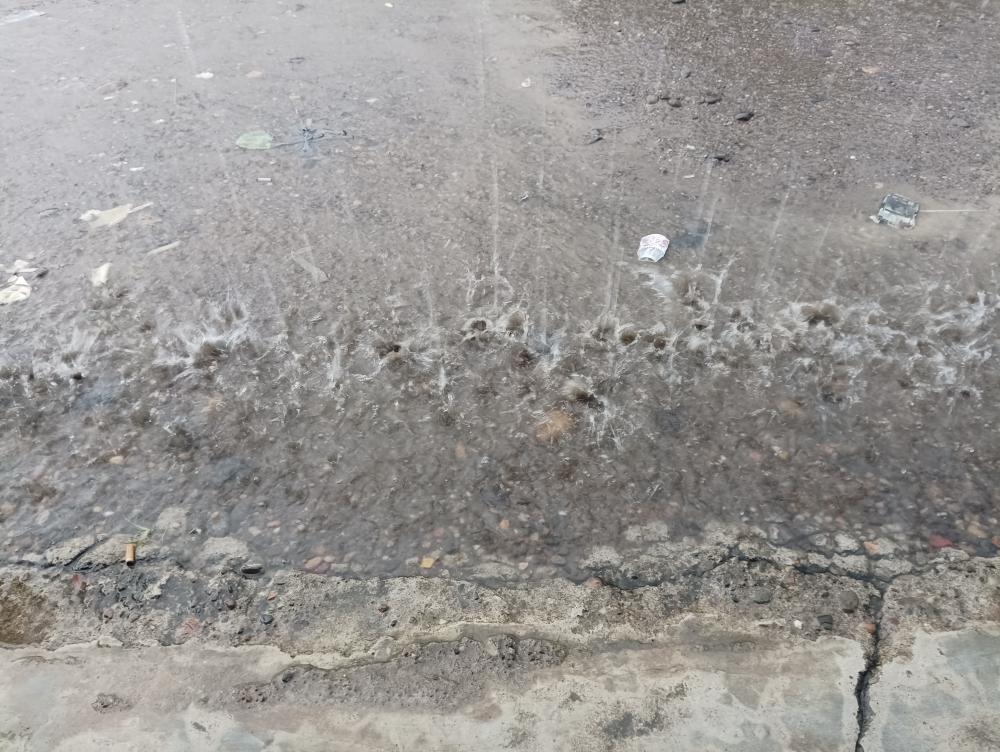 Ensuring Durable Repairs with Professional Expertise