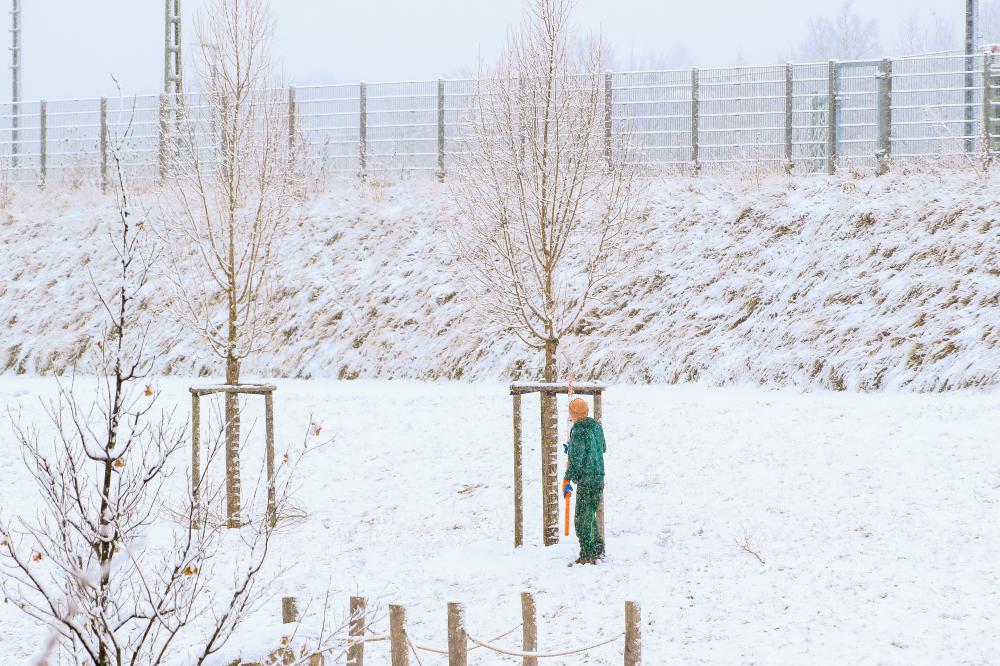 Craftsmanship and Innovation in Ottawa Fencing