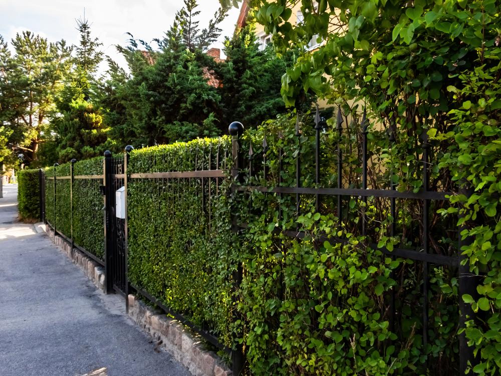What Types of Fences Does Arvada Fence Company Offer?