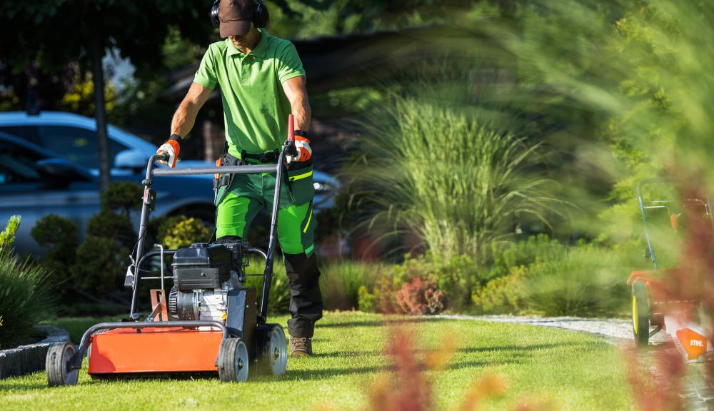 Our Comprehensive Lawn Care Services