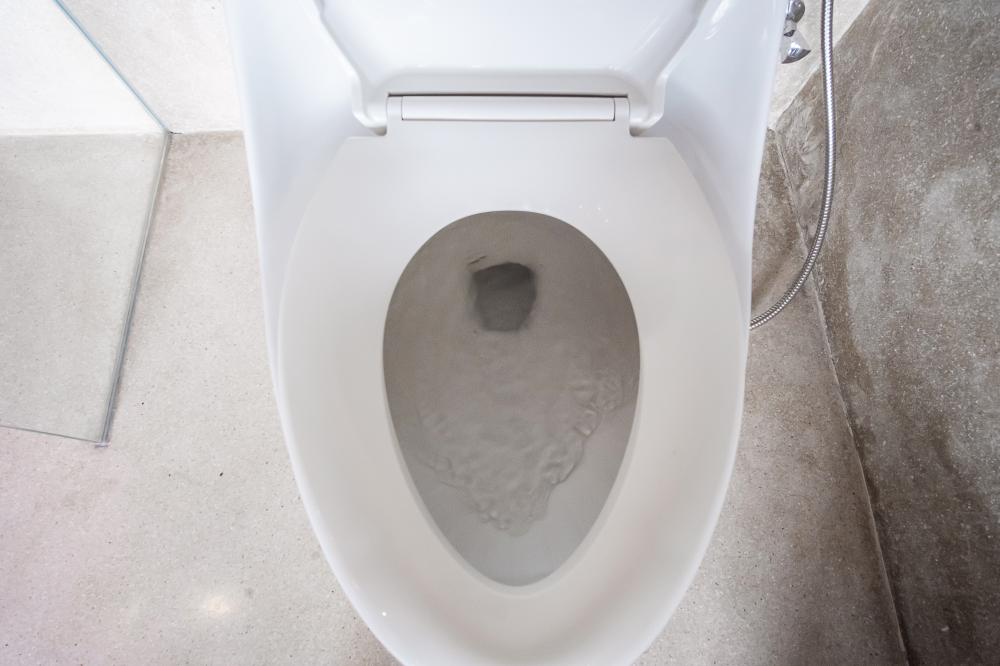 What Qualifies as a Clogged Toilet Kennesaw GA Emergency?