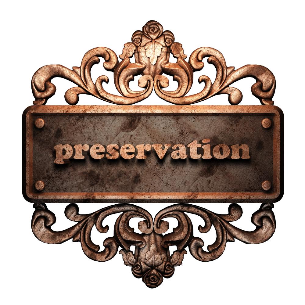 Preservation of plumbing systems in Alexandria with expert maintenance