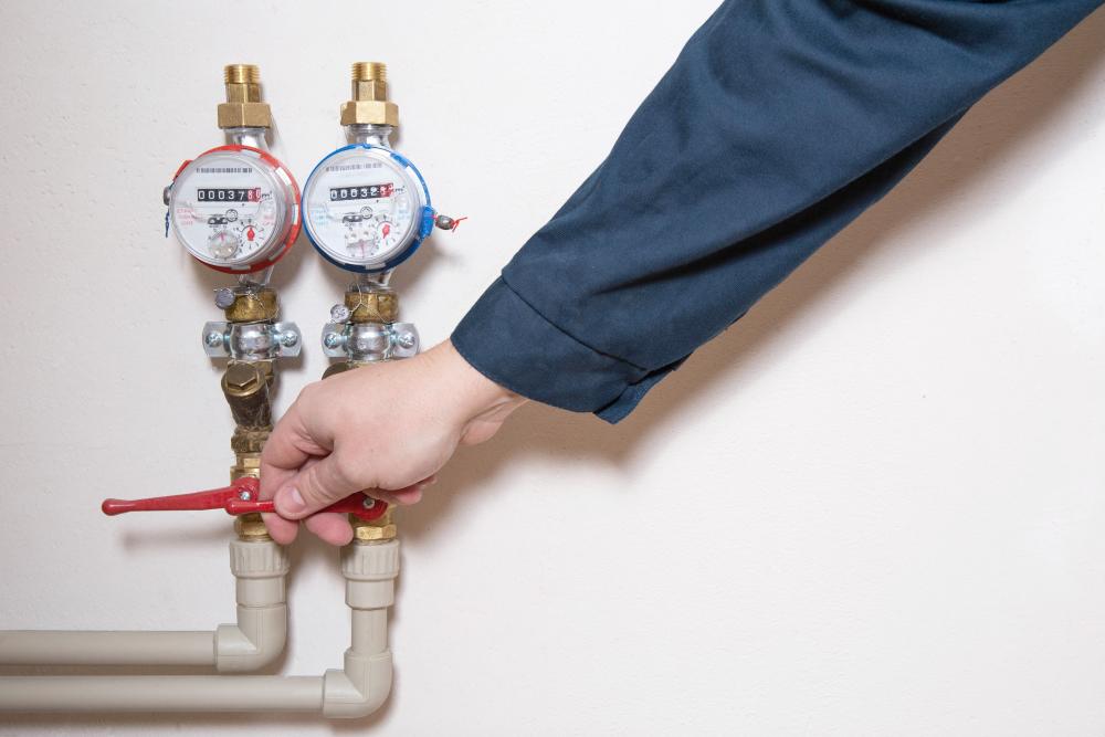 Backflow Principles and Prevention