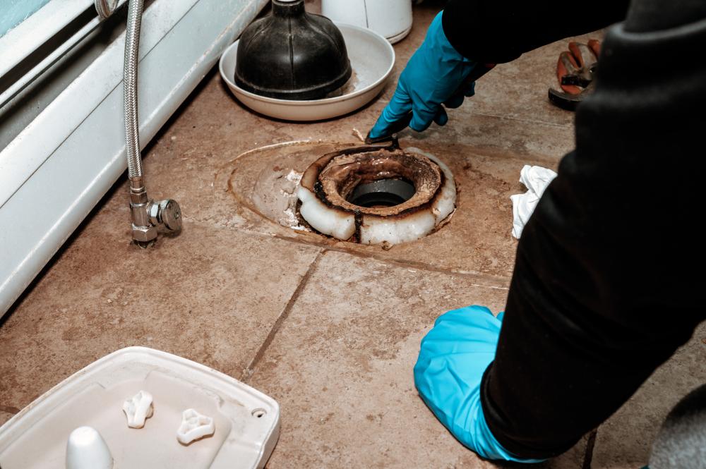 Common Causes of Clogged Toilets