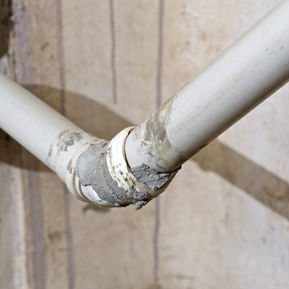 Personal Stories: Surviving and Thriving