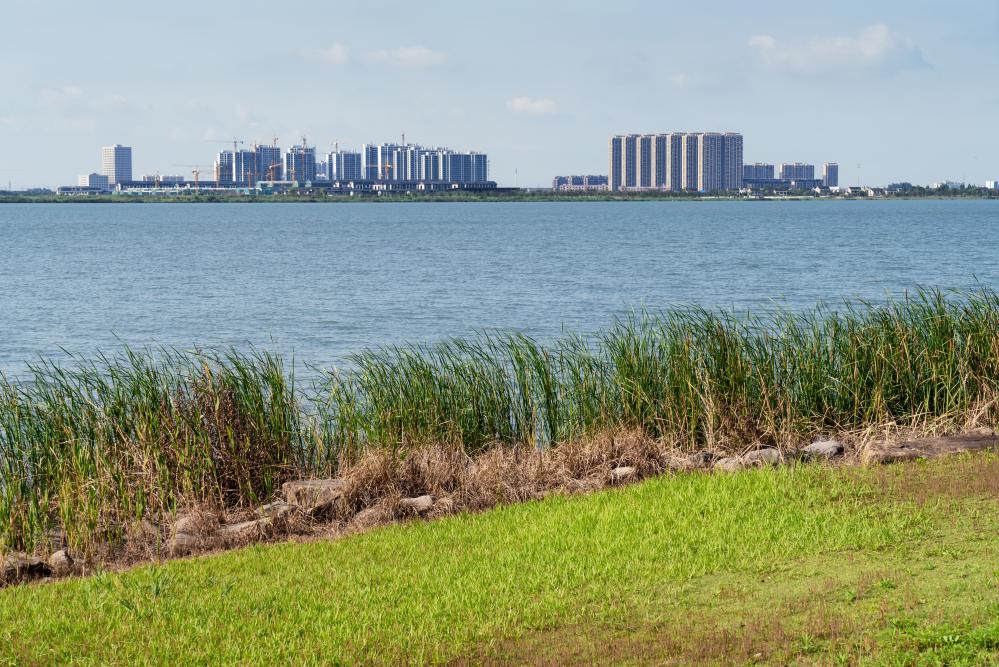 Why Choose Daytona Beach for Your Condo Purchase?